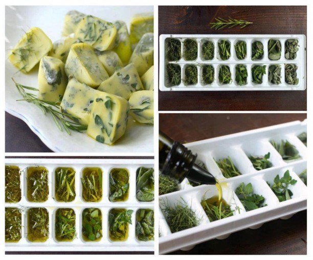 Freeze Fresh Herbs in Olive Oil for Winter